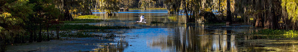 Literary Legacy • Community Strength • Small-Town Arkansas