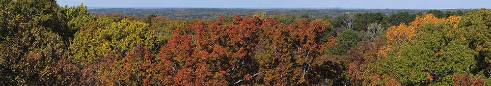 Progress, People, and Possibility