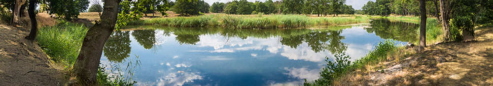 Faith, Service, and Community Support Across Lafayette County