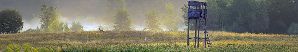 Are you ready to get started in Lafayette County?