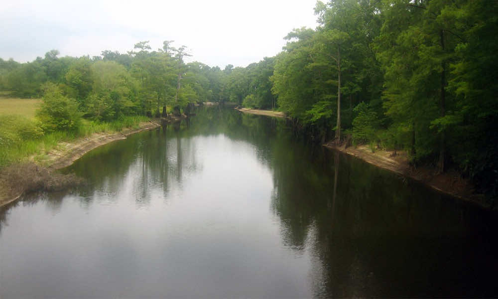 Bayou Dorcheat & Bodcau Creek